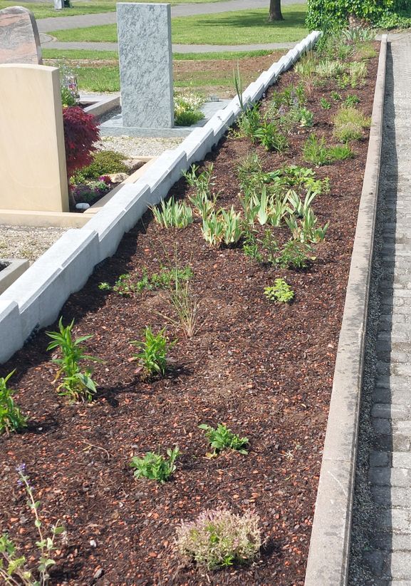 Insektenbeet Hecklinger Friedhof