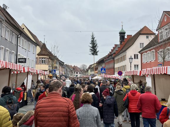 Breisgauer Frühling 2024