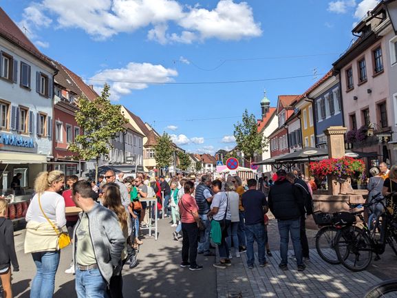 Breisgauer Herbst 2023