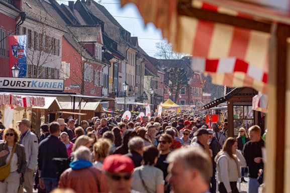 Breisgauer Frühling 2024
