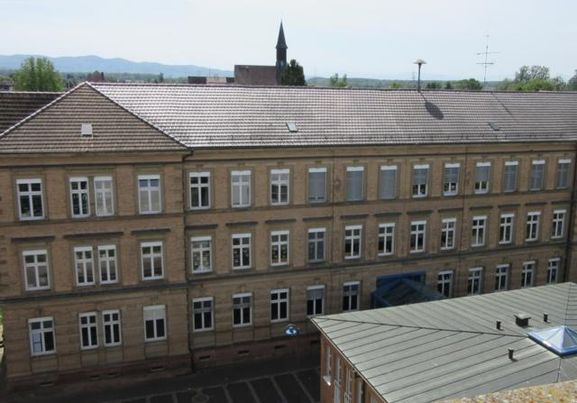 Neue Fenster