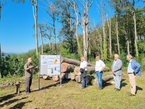 Ministerbesuch im Kenzinger Stadtwald