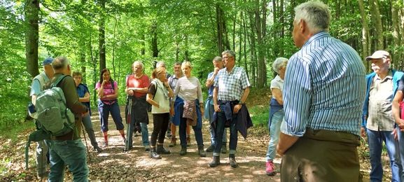 Frühlingswanderung mit dem Förster