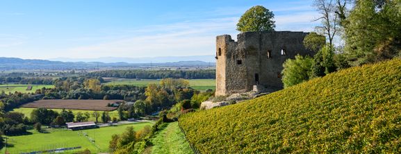 Burg Lichteneck