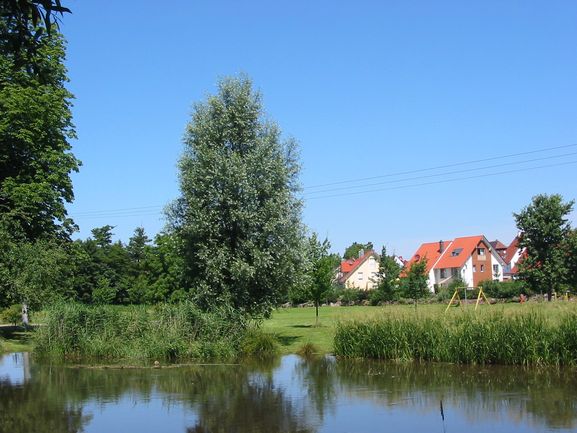 Elz beim Bürgerpark