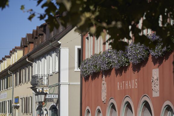 Rathaus Vorderansicht