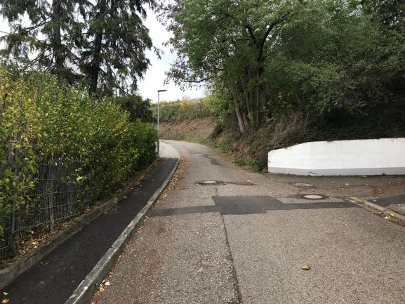 Niederbergweg