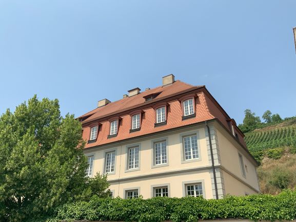 Schloss Hecklingen