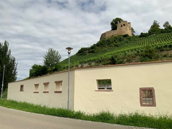 Sanierung der Schlossmauer