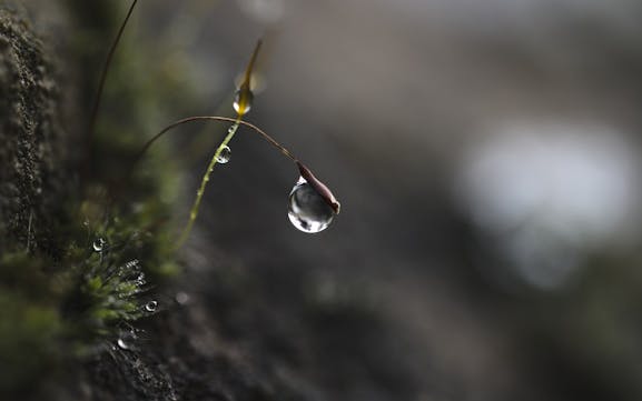 Förderung Regenwasserspeicher
