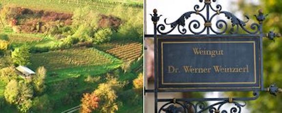 Weingut Dr. Weinzierl
